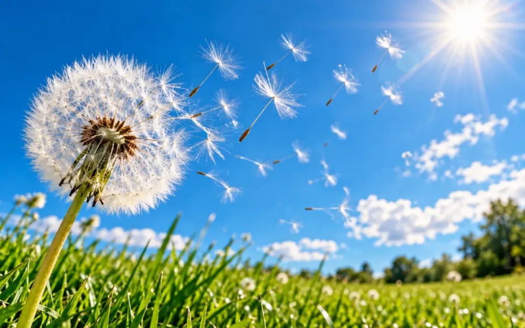 Test delle Allergie a Milano